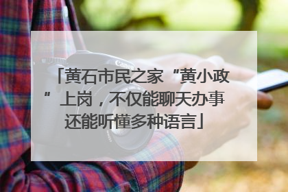 黄石市民之家“黄小政”上岗，不仅能聊天办事还能听懂多种语言