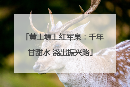 黄土塬上红军泉：千年甘甜水 浇出振兴路