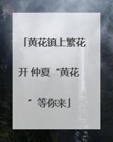 黄花镇上繁花开 仲夏“黄花”等你来
