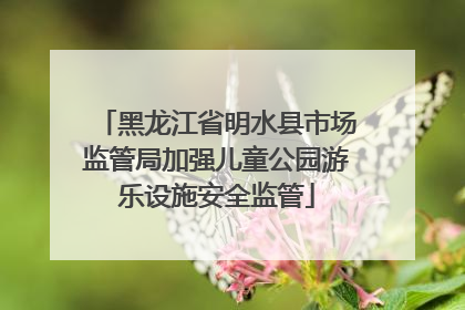 黑龙江省明水县市场监管局加强儿童公园游乐设施安全监管