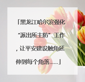 黑龙江哈尔滨强化“派出所主防”工作，让平安建设触角延伸到每个角落……