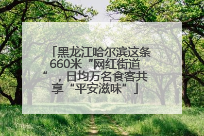黑龙江哈尔滨这条660米“网红街道”，日均万名食客共享“平安滋味”