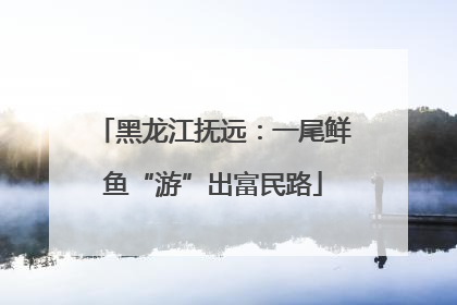 黑龙江抚远：一尾鲜鱼“游”出富民路