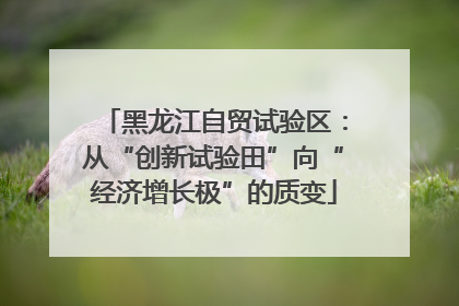 黑龙江自贸试验区：从“创新试验田”向“经济增长极”的质变