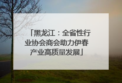 黑龙江：全省性行业协会商会助力伊春产业高质量发展