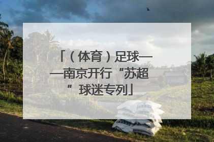 （体育）足球——南京开行“苏超”球迷专列