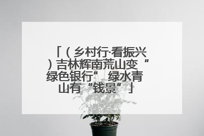 （乡村行·看振兴）吉林辉南荒山变“绿色银行” 绿水青山有“钱景”