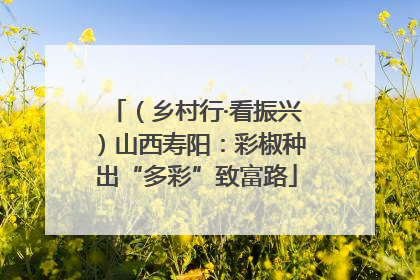 （乡村行·看振兴）山西寿阳：彩椒种出“多彩”致富路