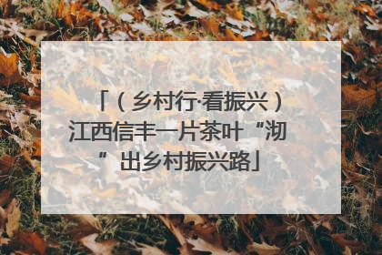 （乡村行·看振兴）江西信丰一片茶叶“沏”出乡村振兴路