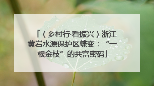 （乡村行·看振兴）浙江黄岩水源保护区蝶变：“一根金枝”的共富密码