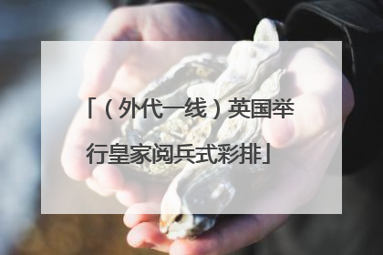 （外代一线）英国举行皇家阅兵式彩排