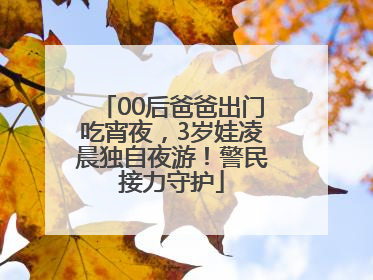 00后爸爸出门吃宵夜，3岁娃凌晨独自夜游！警民接力守护