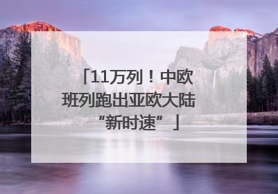 11万列！中欧班列跑出亚欧大陆“新时速”