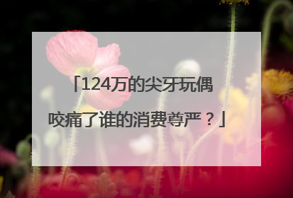 124万的尖牙玩偶 咬痛了谁的消费尊严？