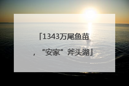 1343万尾鱼苗，“安家”斧头湖