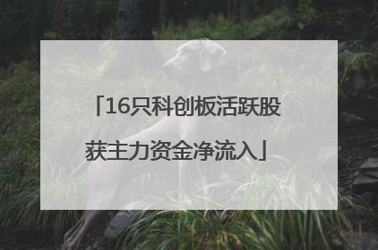 16只科创板活跃股获主力资金净流入