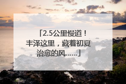 2.5公里慢道！丰泽这里，藏着初夏治愈的风……