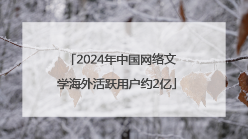 2024年中国网络文学海外活跃用户约2亿