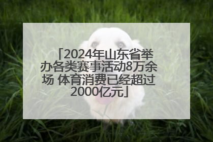 2024年山东省举办各类赛事活动8万余场 体育消费已经超过2000亿元