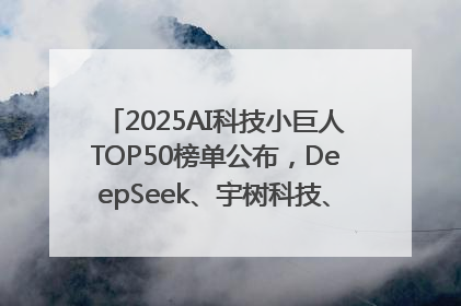 2025AI科技小巨人TOP50榜单公布，DeepSeek、宇树科技、蘑菇车联等企业荣誉上榜