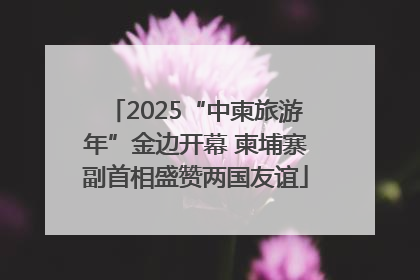 2025“中柬旅游年”金边开幕 柬埔寨副首相盛赞两国友谊