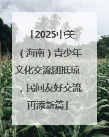 2025中美（海南）青少年文化交流团抵琼，民间友好交流再添新篇