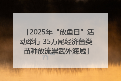 2025年“放鱼日”活动举行 35万尾经济鱼类苗种放流崇武外海域