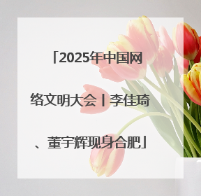 2025年中国网络文明大会丨李佳琦、董宇辉现身合肥