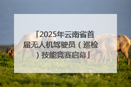 2025年云南省首届无人机驾驶员（巡检）技能竞赛启幕