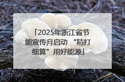2025年浙江省节能宣传月启动 “精打细算”用好能源