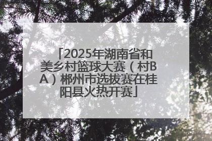 2025年湖南省和美乡村篮球大赛（村BA）郴州市选拔赛在桂阳县火热开赛