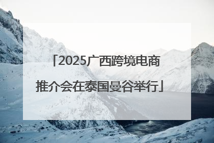 2025广西跨境电商推介会在泰国曼谷举行