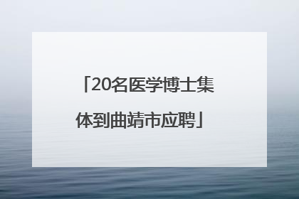 20名医学博士集体到曲靖市应聘