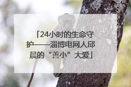 24小时的生命守护——淄博电网人邱晨的“善小”大爱