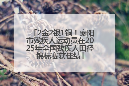 2金2银1铜！襄阳市残疾人运动员在2025年全国残疾人田径锦标赛获佳绩