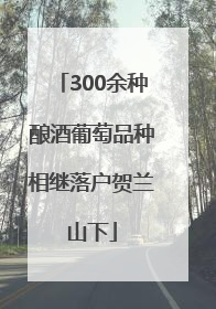 300余种酿酒葡萄品种相继落户贺兰山下