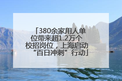 380余家用人单位带来超1.2万个校招岗位，上海启动“百日冲刺”行动
