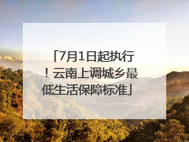 7月1日起执行！云南上调城乡最低生活保障标准