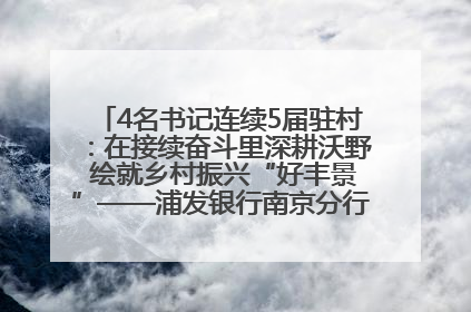 4名书记连续5届驻村：在接续奋斗里深耕沃野 绘就乡村振兴“好丰景”——浦发银行南京分行助力脱贫攻坚、帮促乡村振兴记事（二）