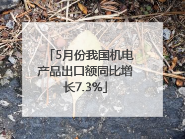 5月份我国机电产品出口额同比增长7.3%