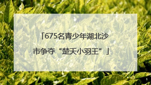 675名青少年湖北沙市争夺“楚天小羽王”