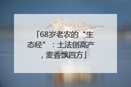 68岁老农的“生态经”：土法创高产，麦香飘四方