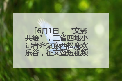 6月1日，“文影共绘”，三省四地小记者齐聚豫西松鹿欢乐谷，征文暨短视频大赛精彩启幕！
