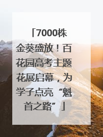 7000株金葵盛放！百花园高考主题花展启幕，为学子点亮“魁首之路”
