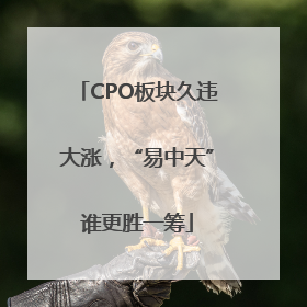 CPO板块久违大涨，“易中天”谁更胜一筹