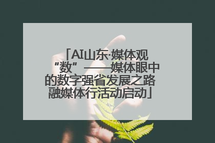 AI山东·媒体观“数”——媒体眼中的数字强省发展之路融媒体行活动启动