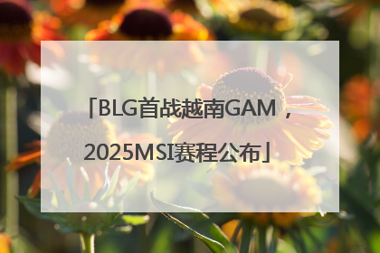 BLG首战越南GAM，2025MSI赛程公布
