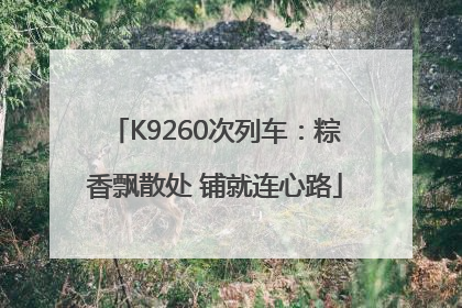 K9260次列车：粽香飘散处 铺就连心路