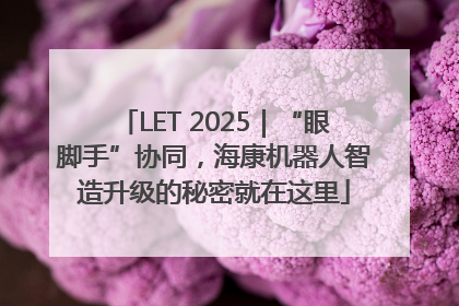 LET 2025｜“眼脚手”协同，海康机器人智造升级的秘密就在这里