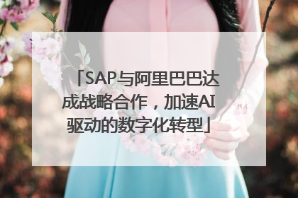 SAP与阿里巴巴达成战略合作，加速AI驱动的数字化转型